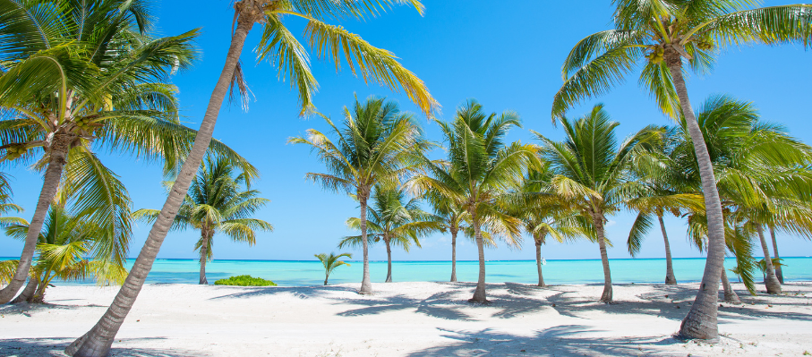 Request holidays - KPI Recruiting